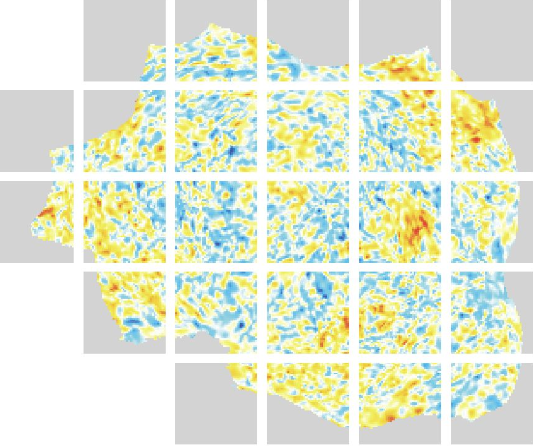 Brain surface rendering