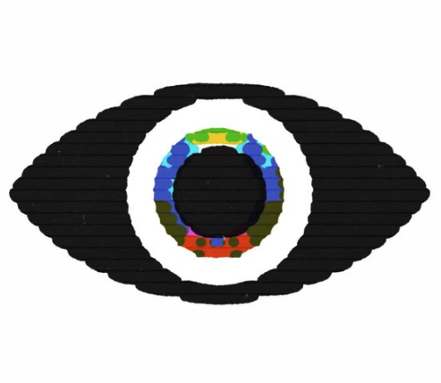 Brain scan visualization